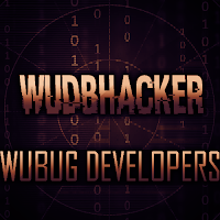 western union database hackers. wu bug developers