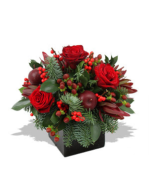 Christmas Flowers Christmas Flowers