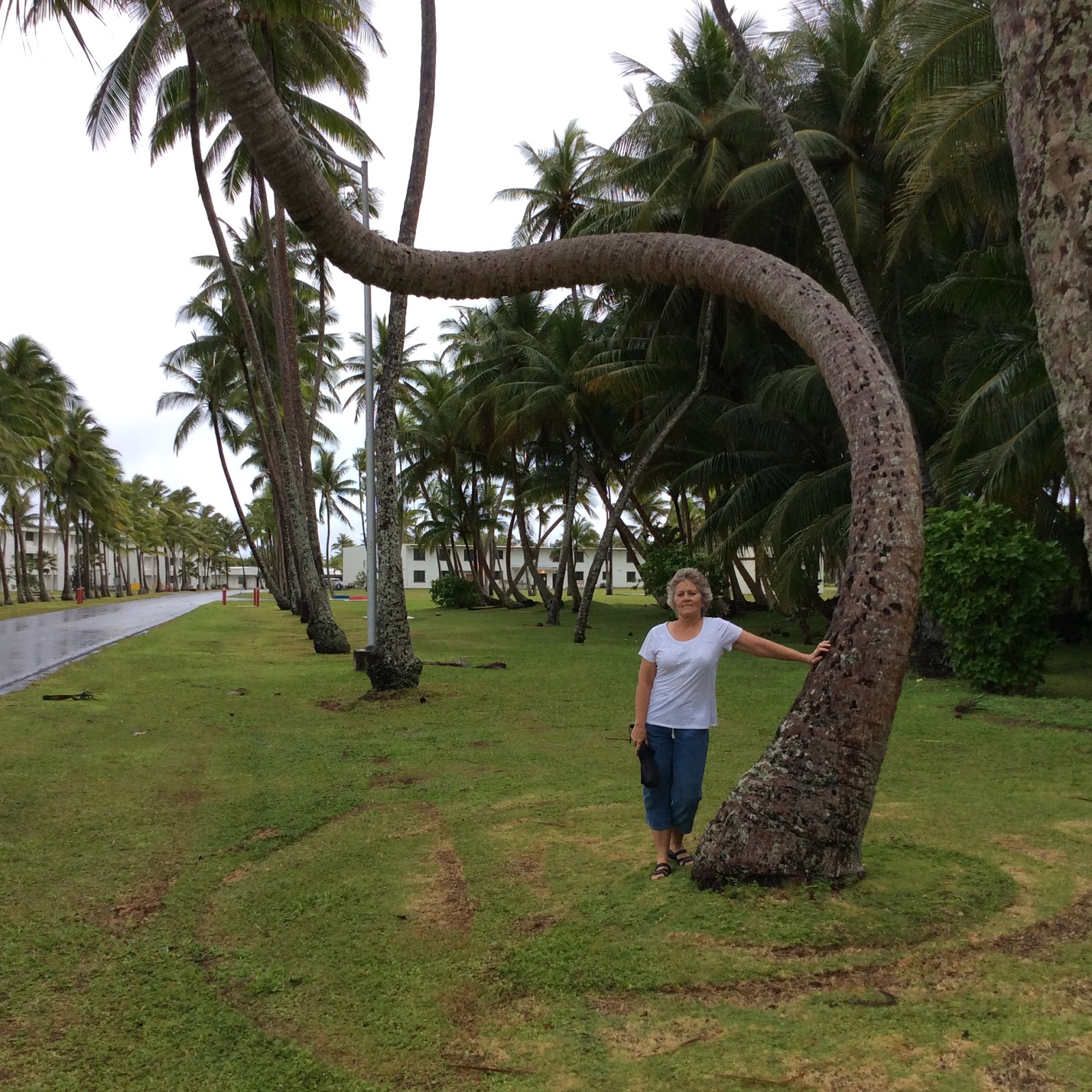 Snapshots of Mike and Lisa Our trip to RoiNamur