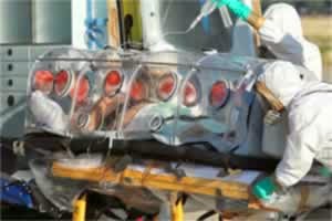 Вирус Эбола: станет ли он новой чумой?