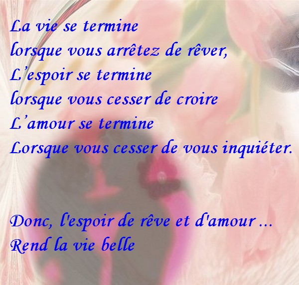 La+vie.jpg