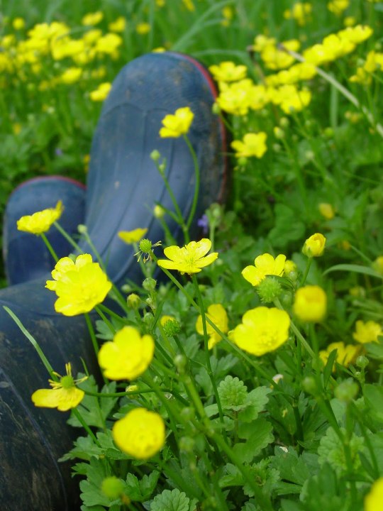 Bluestone River Farm