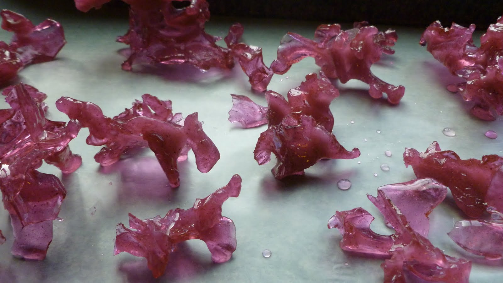 So Sweet Seattle! Homemade Sugar Coral!