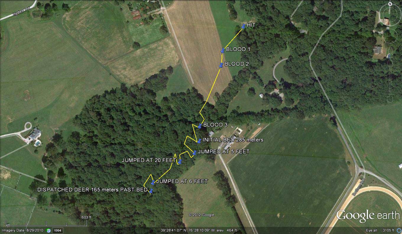 i had some interesting dog work from my eibe on this line after we jumped the deer i wanted to track slowly and carefully so as not to push the deer and