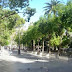 Mentiras del Mentidero
