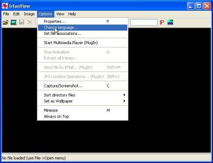 download irfanview free download irfanview free