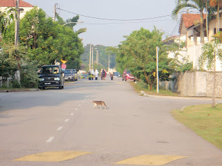 Balik dari rumah Afif