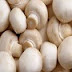 1 Kilo Mantar Kaç Kalori? 100 Gr Mantarda Kaç Kalori Var?