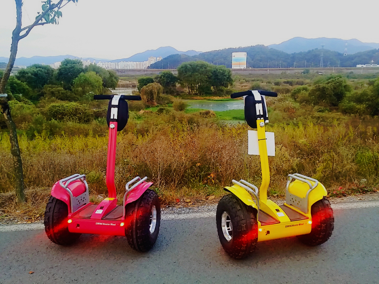 2 wheel electric scooter