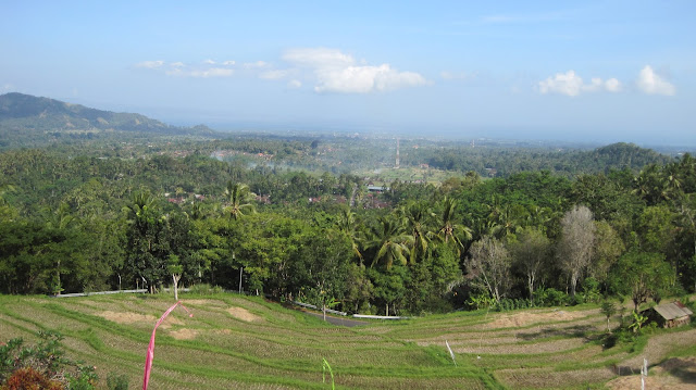 Paisaje de arrozales en Bali