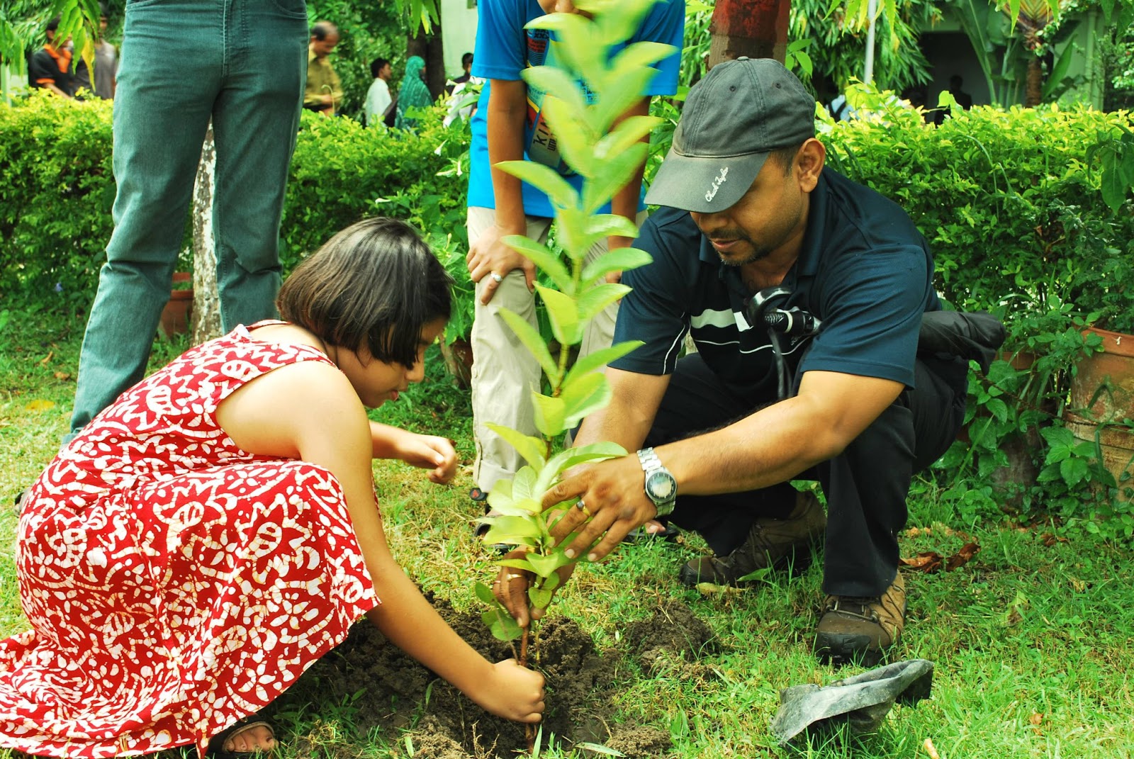 'A Thousand Trees' Planting Festival, July 2013 Kolkata, India