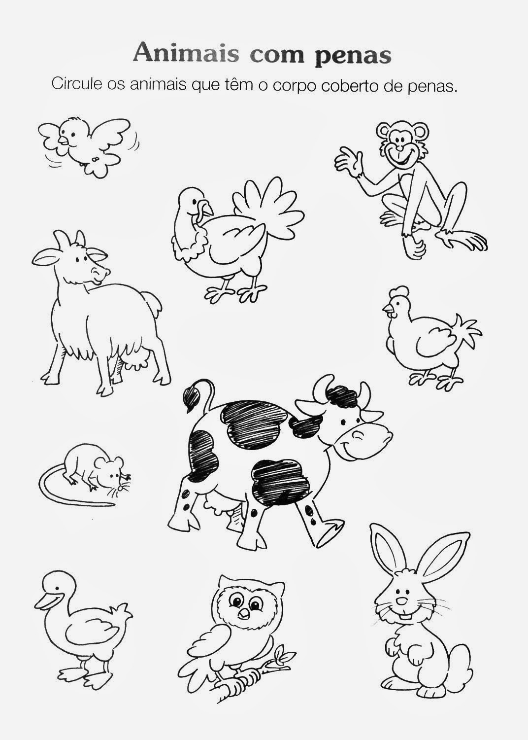 Atividade Infantil - Animais Com Penas - Desenhos Para Colorir