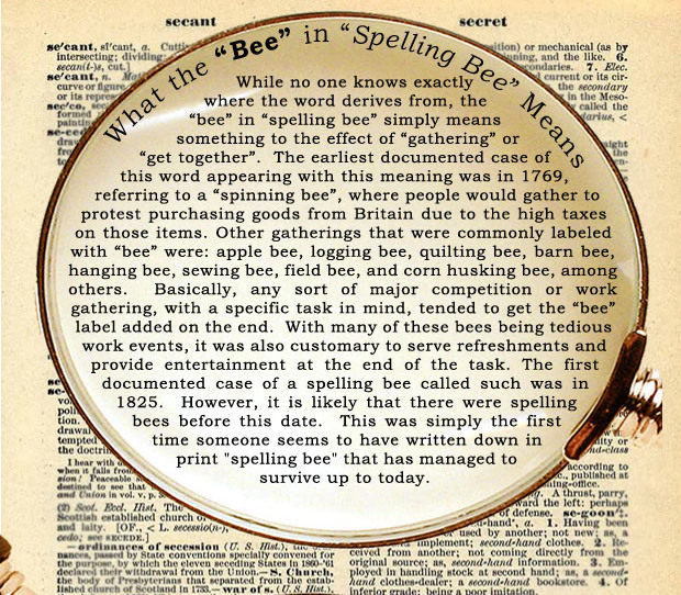 Word Interesting
