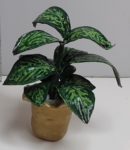 DBK Designs - Dumb Cane