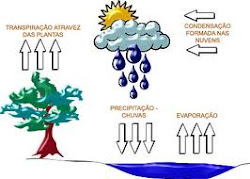 Ciclo da água