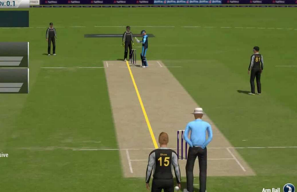 Free Online Cricket 2007 Games Play Now