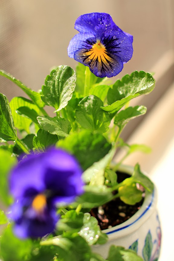 Mademoiselle Mermaid Favorite Flower Pick