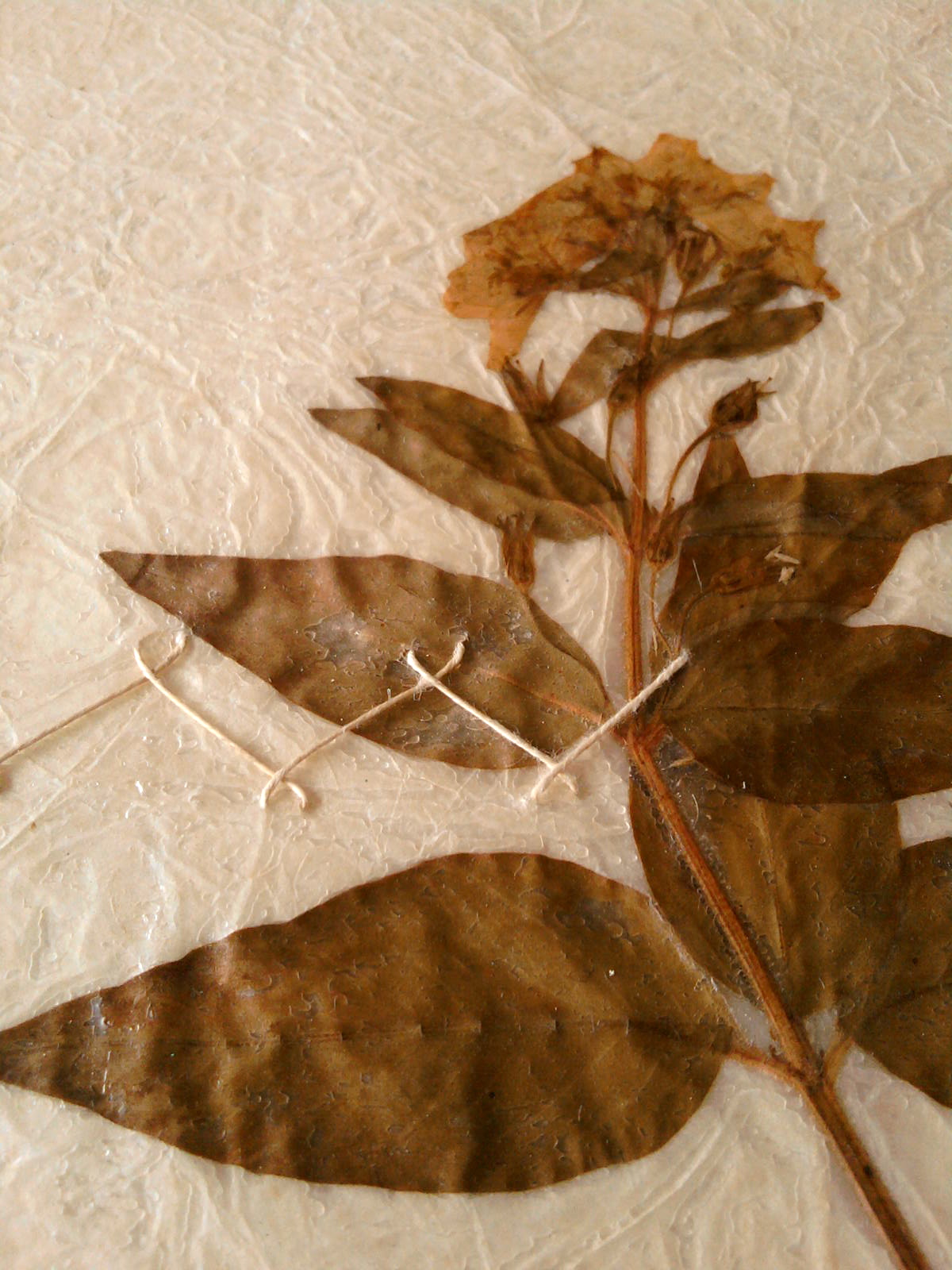 revisit and reflect Reflect and rest by peter salovey ja bracchi via getty images not everyone shares in the celebration of this particular holiday, but i do think the value of a pause for reflection and . revisit and reflect Reflect and rest by peter salovey ja bracchi via getty images not everyone shares in the celebration of this particular holiday, but i do think the value of a pause for reflection and .
