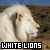 I like white lions
