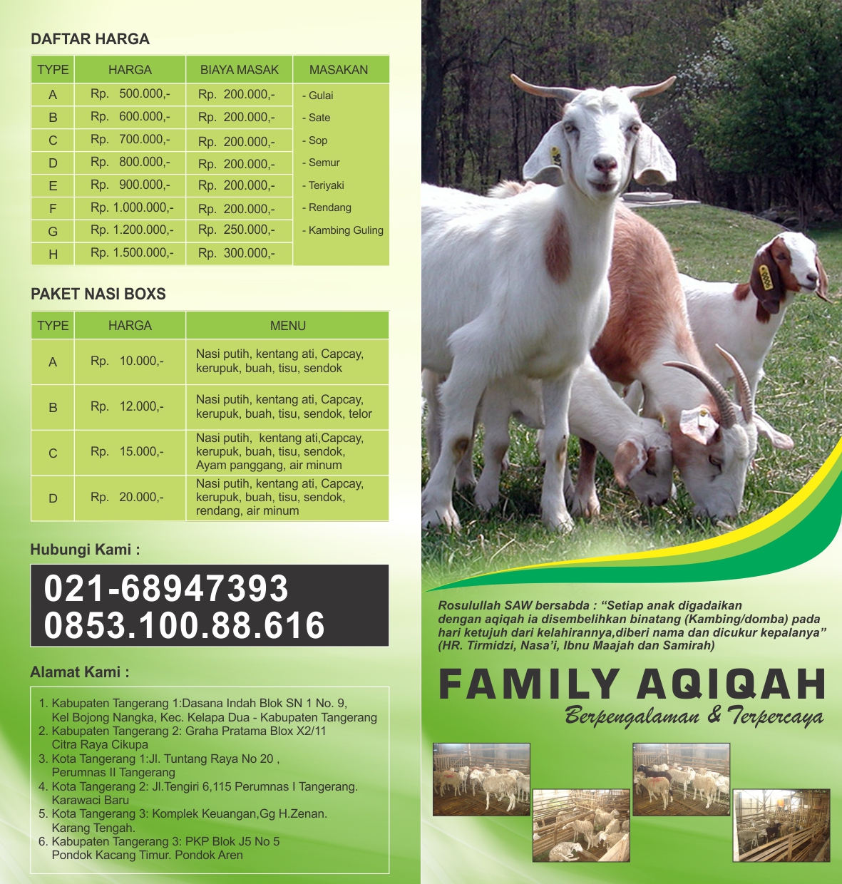 Kambing Aqiqah
