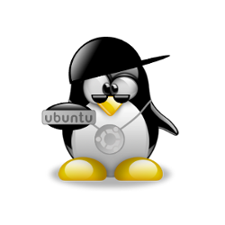 Cara Ganti IP Address Lewat Terminal Linux Ubuntu - Pada postingan