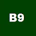 B9 Vitamini B9 Vitaminin B9 Folik Asitin Faydaları
