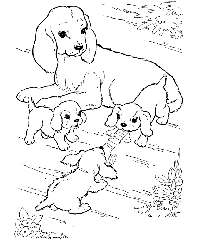 desenhos para colorir mais animais da fazenda