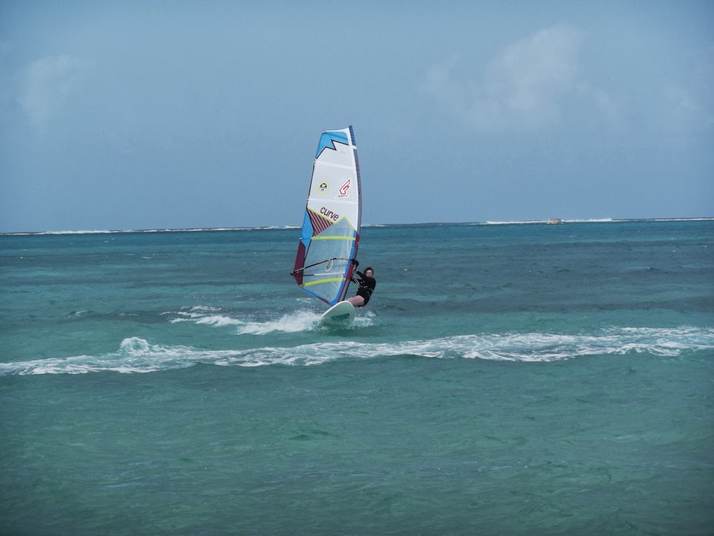 The Windsurf Loop The Harness Fin