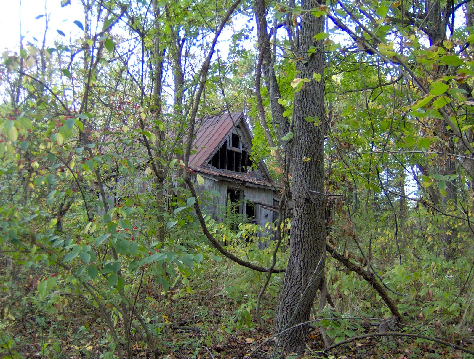 Eerie Indiana Abandoned and ruined house, Clarksville, Indiana