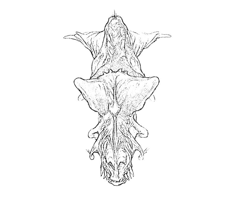 Printable Sebulba Top Coloring Pages printable-sebulba-top-coloring-pages