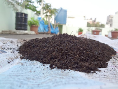 Home compost