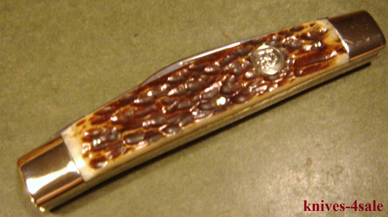 knives4sale Bulldog Brand Solingen Germany Bone Stag Congress Pocket