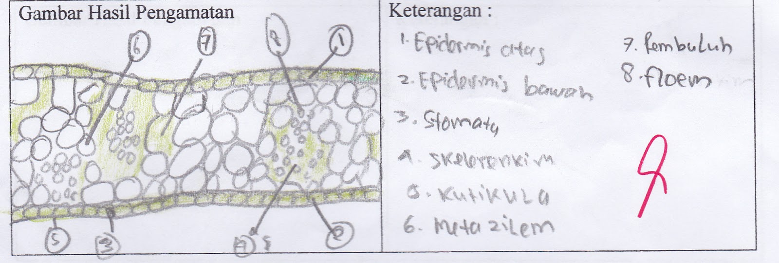 gambar pembanding gambar pembanding