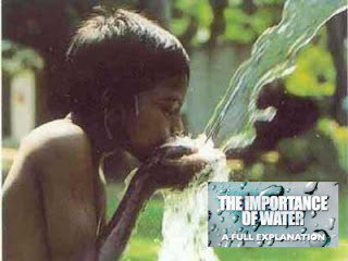 Importance of Water