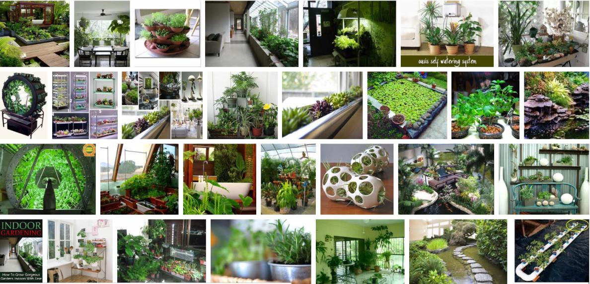 free download gardening indoors free download gardening indoors