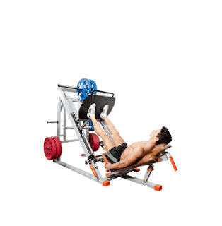 Angled Leg Presses Angled Leg Presses