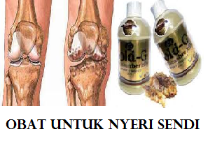 Obat Tradisional Nyeri Sendi