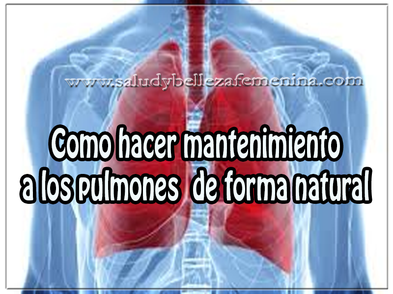 Como hacer mantenimiento a los pulmones de forma natural Salud y bienestar , como hacer mantenimiento a los pulmones de forma natural , remedios naturales para salud