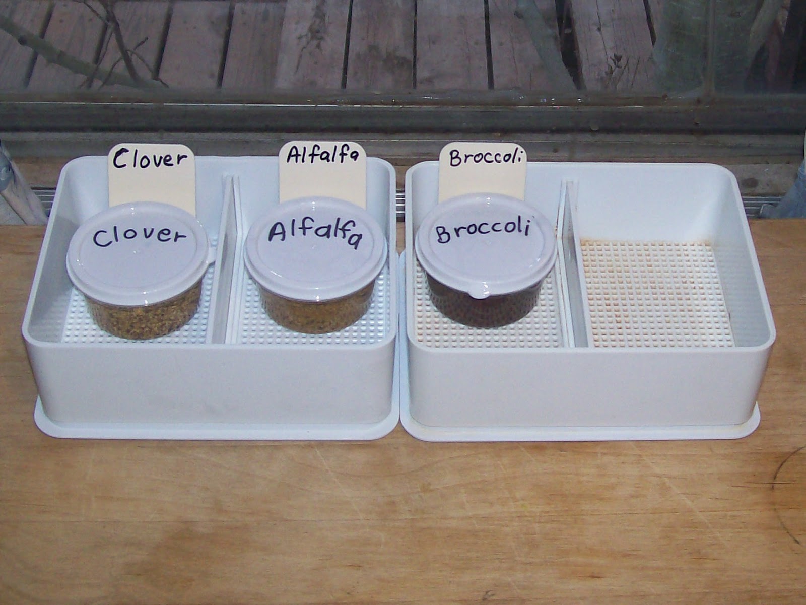 Dehydrating Way Beyond Jerky Sprouting Basics