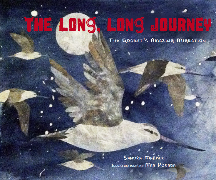 SANDRA MARKLE BOOK SAFARI
