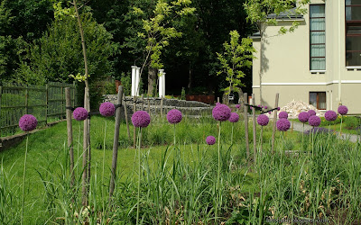 Plant Gallery Encyklopedia Roslin