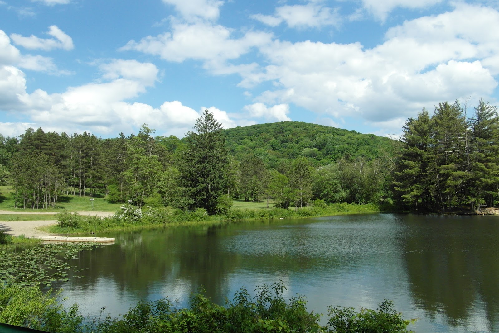 Our Frank Adventures Allegany State Park, New York State