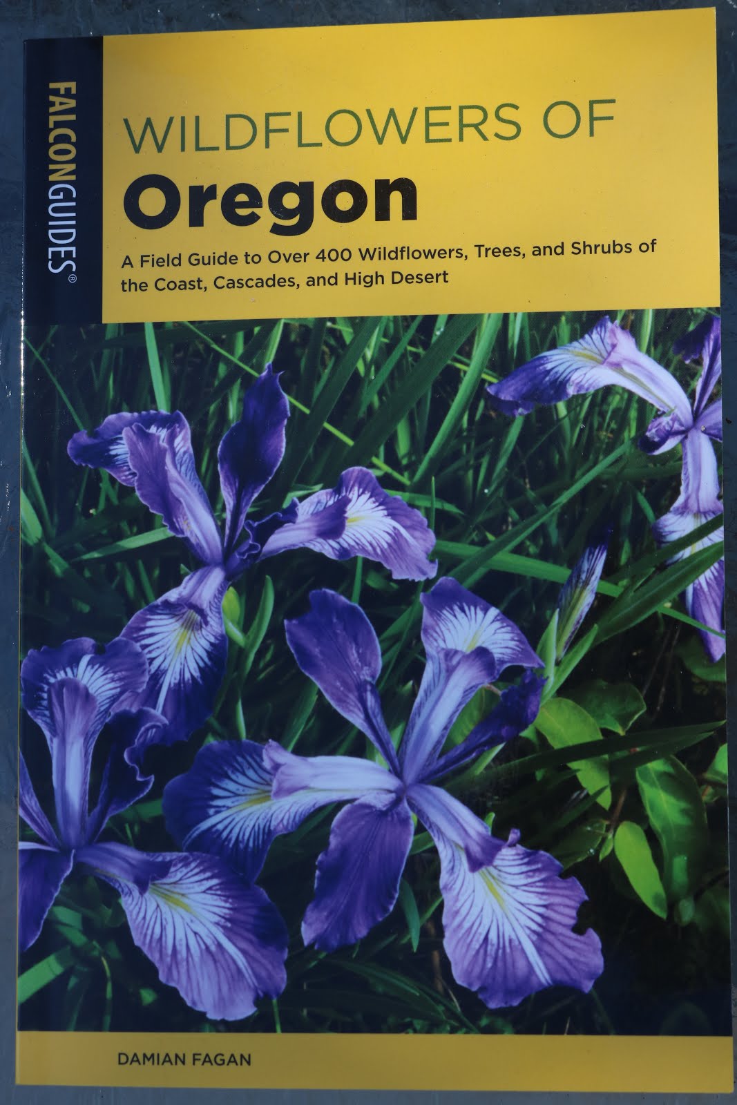 Wildflowers of Oregon
