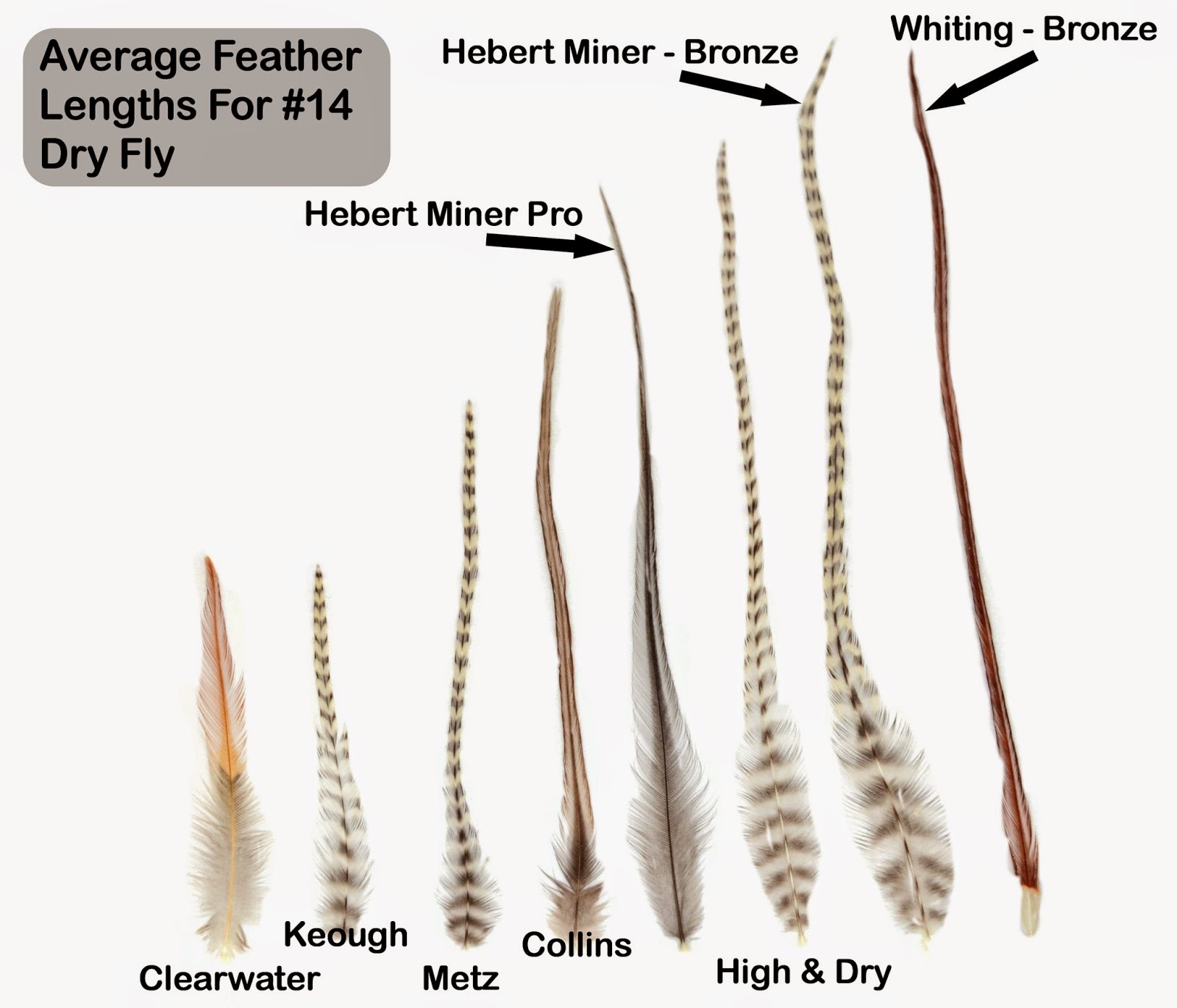Feather-Compare.JPG