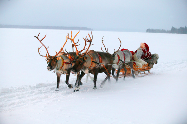 [Image: tham-que-huong-ong-gia-noel-02.jpg]