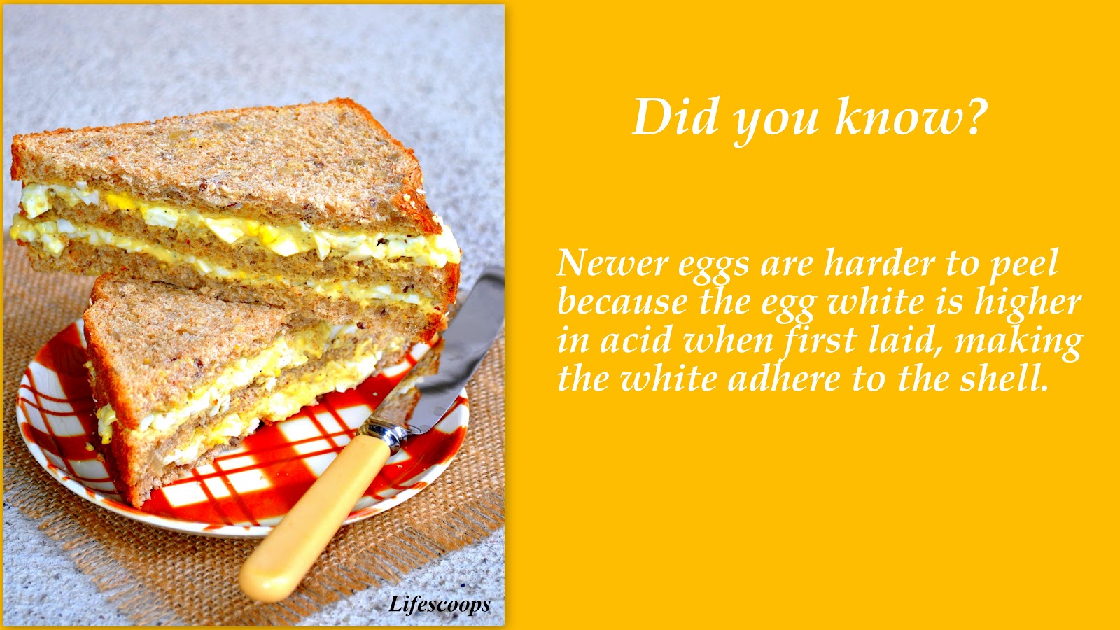 Life Scoops Deviled Egg Sandwich