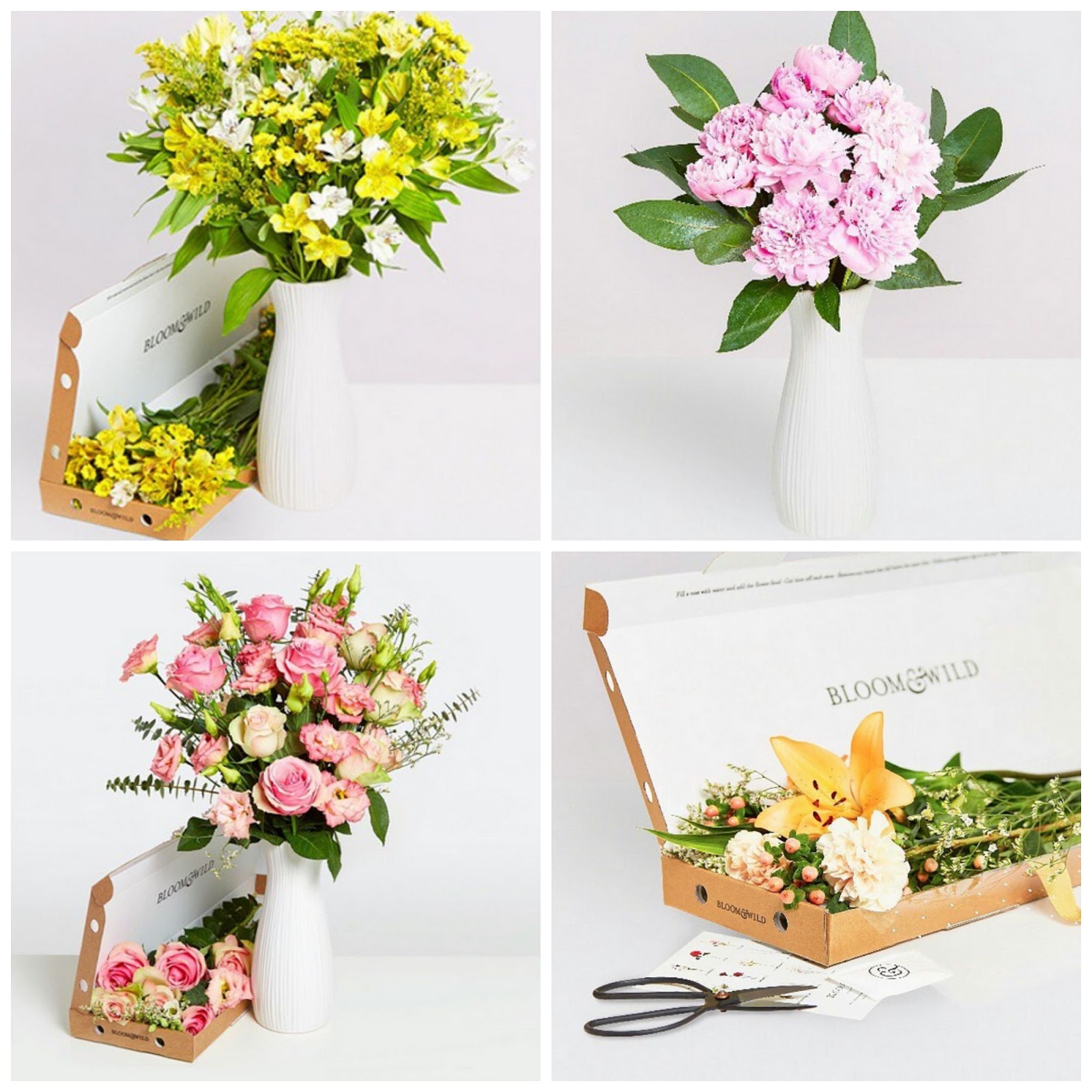 Bloom & Wild Letterbox Flowers For £1 Sweet Elyse