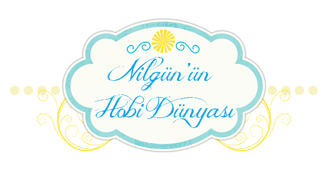 Nilgün'ün Dünyası