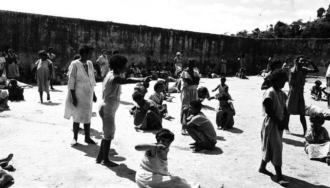 Holocausto Brasileiro Livros