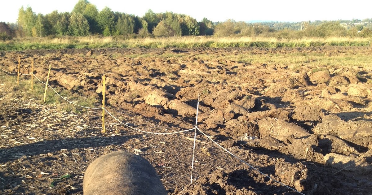 meat dirtwork, part 3 plowing and disc ing and tilling